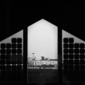 © Mattia Boero