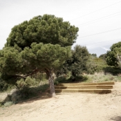 © Aitor Estévez
