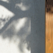 © Mount Fuji Architects Studio